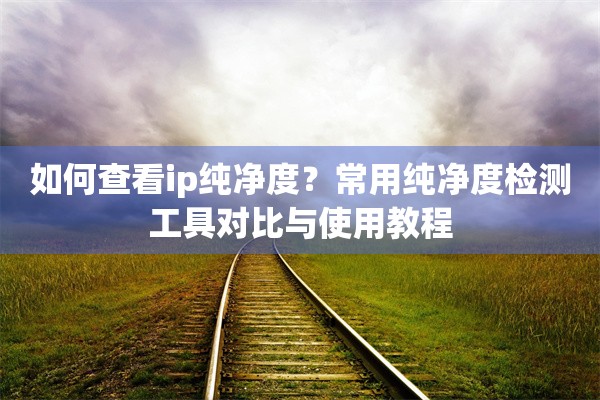 如何查看ip纯净度？常用纯净度检测工具对比与使用教程