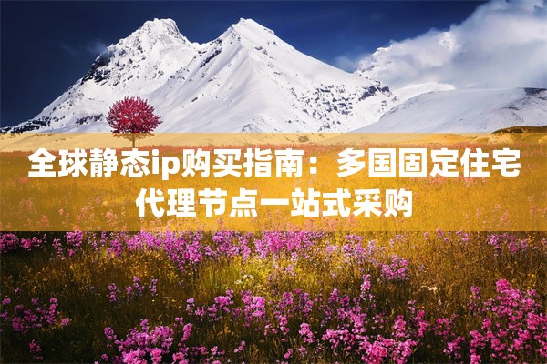 全球静态ip购买指南：多国固定住宅代理节点一站式采购