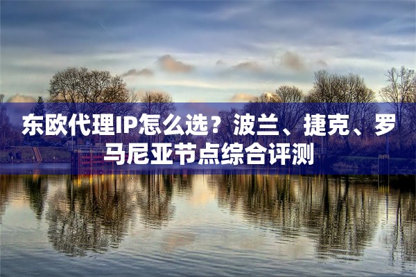 东欧代理IP怎么选?波兰、捷克、罗马尼亚节点综合评测