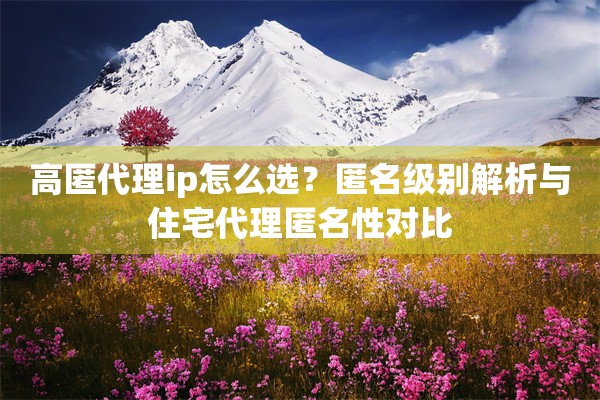高匿代理ip怎么选？匿名级别解析与住宅代理匿名性对比