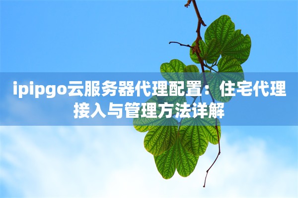 ipipgo云服务器代理配置：住宅代理接入与管理方法详解
