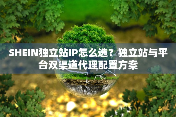 SHEIN独立站IP怎么选？独立站与平台双渠道代理配置方案