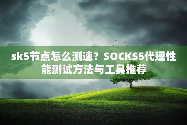 sk5节点怎么测速？SOCKS5代理性能测试方法与工具推荐