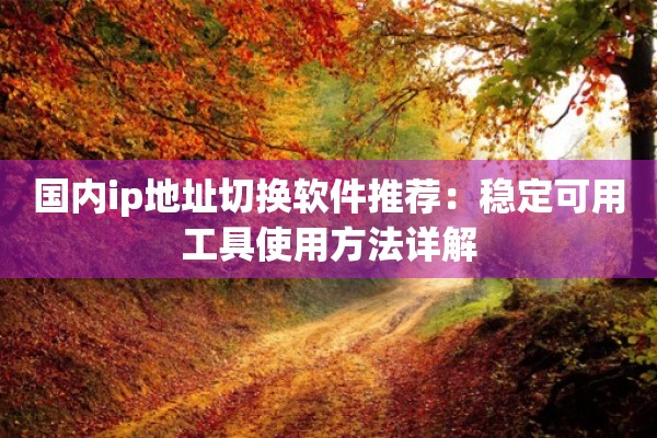 国内ip地址切换软件推荐：稳定可用工具使用方法详解