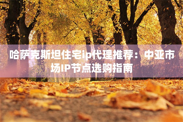 哈萨克斯坦住宅ip代理推荐：中亚市场IP节点选购指南