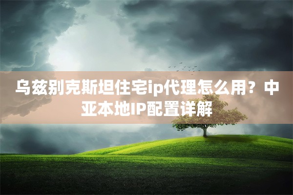 乌兹别克斯坦住宅ip代理怎么用？中亚本地IP配置详解