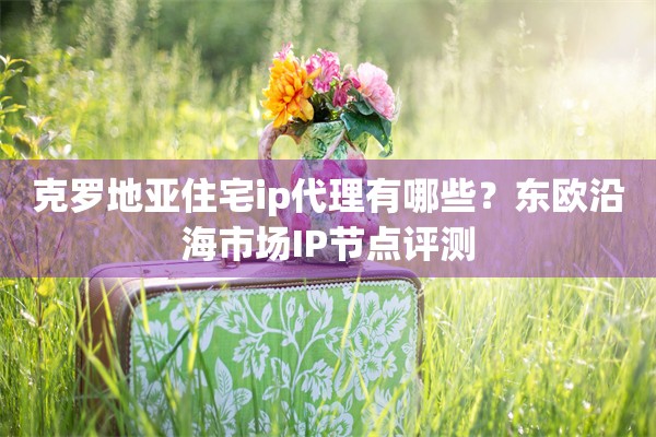 克罗地亚住宅ip代理有哪些?东欧沿海市场IP节点评测
