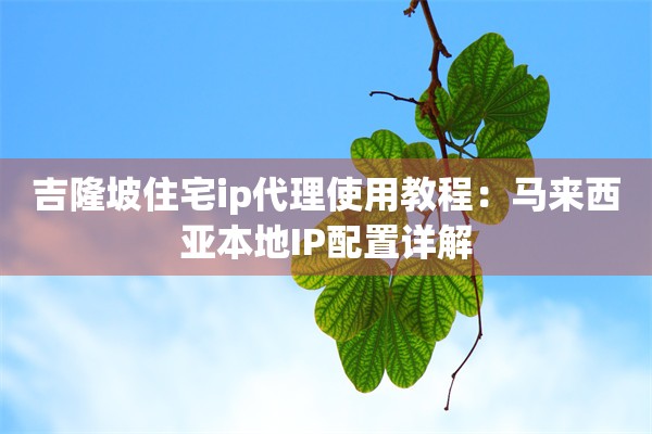 吉隆坡住宅ip代理使用教程:马来西亚本地IP配置详解