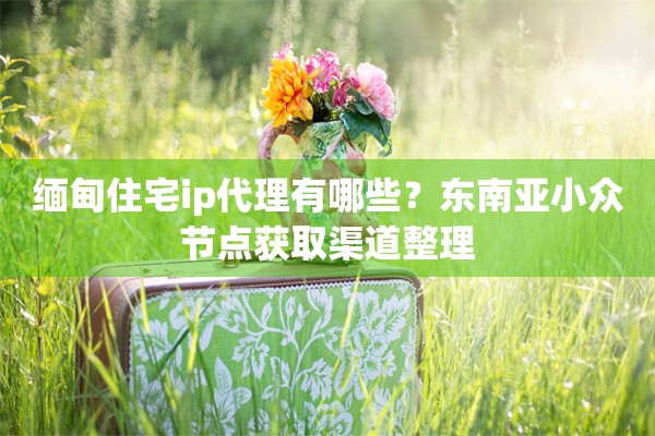缅甸住宅ip代理有哪些?东南亚小众节点获取渠道整理
