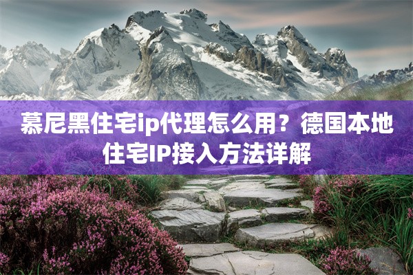 慕尼黑住宅ip代理怎么用?德国本地住宅IP接入方法详解