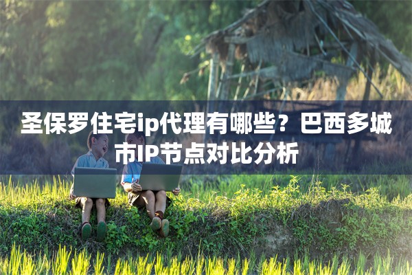 圣保罗住宅ip代理有哪些?巴西多城市IP节点对比分析