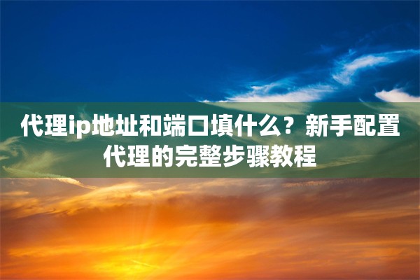 代理ip地址和端口填什么？新手配置代理的完整步骤教程
