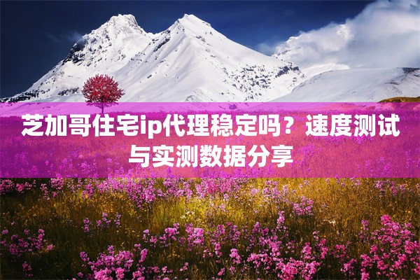 芝加哥住宅ip代理稳定吗？速度测试与实测数据分享