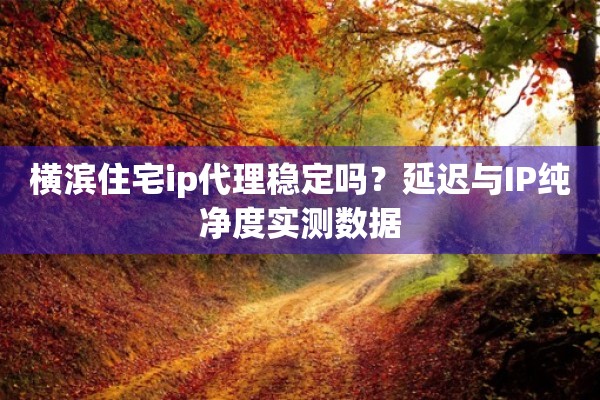 横滨住宅ip代理稳定吗？延迟与IP纯净度实测数据