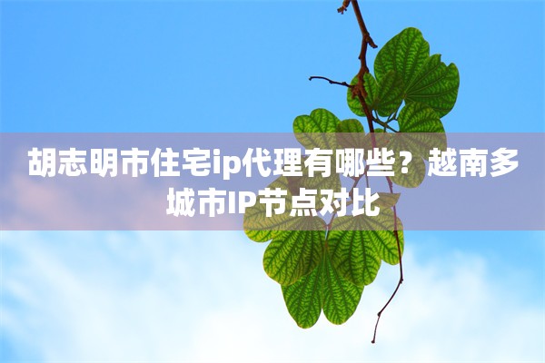 胡志明市住宅ip代理有哪些？越南多城市IP节点对比