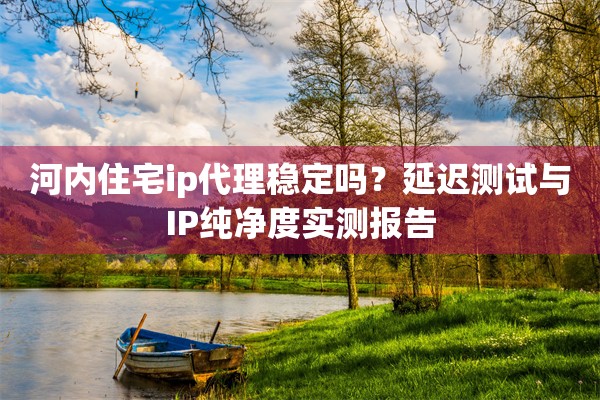 河内住宅ip代理稳定吗？延迟测试与IP纯净度实测报告