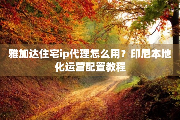 雅加达住宅ip代理怎么用？印尼本地化运营配置教程