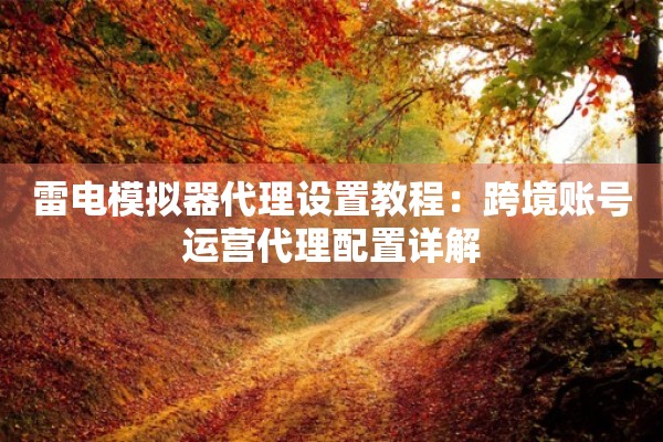 雷电模拟器代理设置教程：跨境账号运营代理配置详解