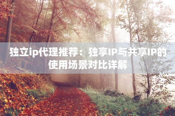 独立ip代理推荐：独享IP与共享IP的使用场景对比详解