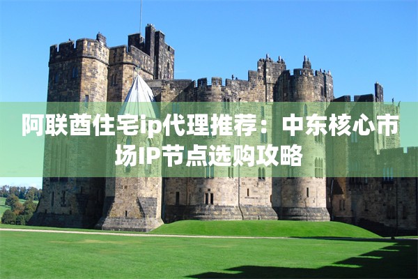 阿联酋住宅ip代理推荐:中东核心市场IP节点选购攻略