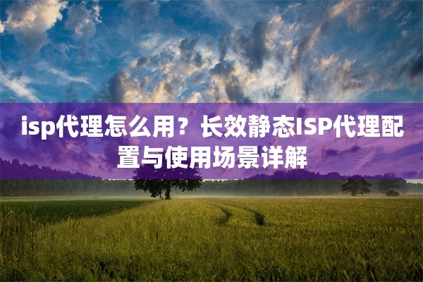 isp代理怎么用？长效静态ISP代理配置与使用场景详解