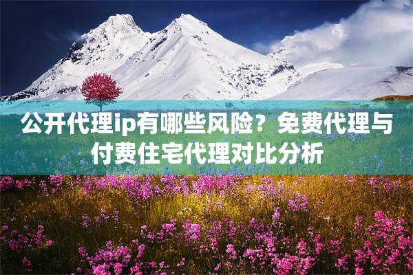 公开代理ip有哪些风险？免费代理与付费住宅代理对比分析