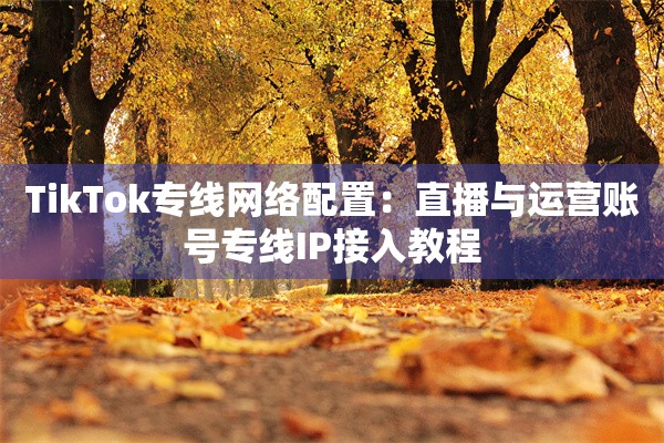 TikTok专线网络配置：直播与运营账号专线IP接入教程