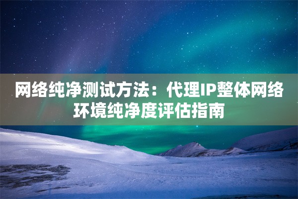 网络纯净测试方法：代理IP整体网络环境纯净度评估指南