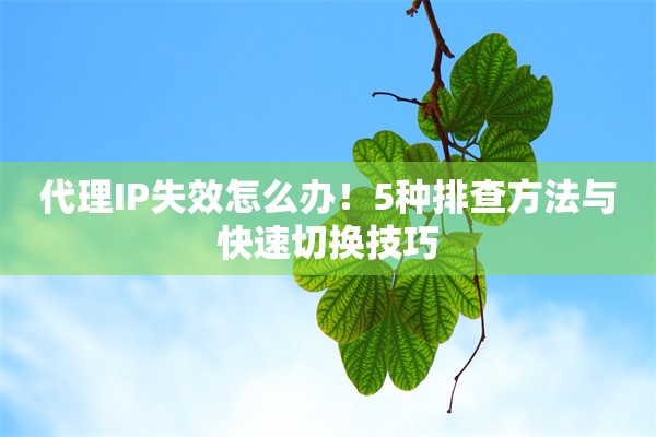 代理IP失效怎么办!5种排查方法与快速切换技巧