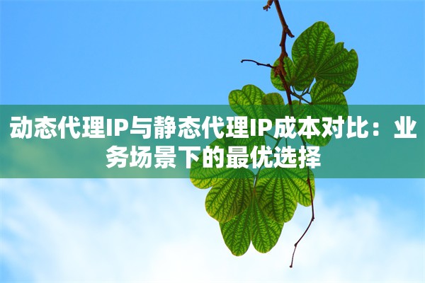 动态代理IP与静态代理IP成本对比：业务场景下的最优选择