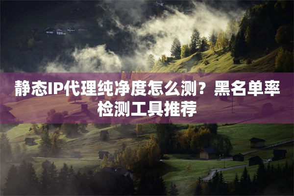 静态IP代理纯净度怎么测？黑名单率检测工具推荐