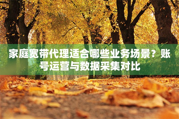 家庭宽带代理适合哪些业务场景？账号运营与数据采集对比