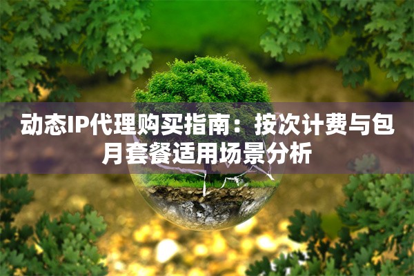动态IP代理购买指南：按次计费与包月套餐适用场景分析