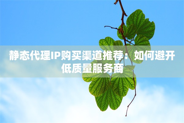 静态代理IP购买渠道推荐：如何避开低质量服务商