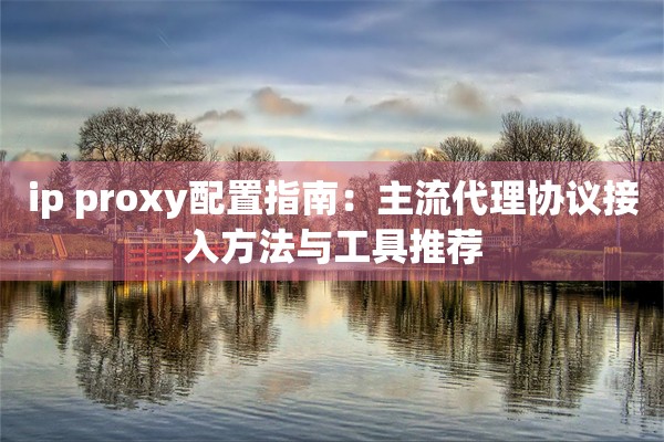 ip proxy配置指南：主流代理协议接入方法与工具推荐