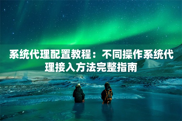 系统代理配置教程：不同操作系统代理接入方法完整指南