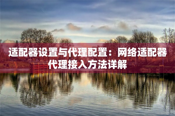 适配器设置与代理配置：网络适配器代理接入方法详解