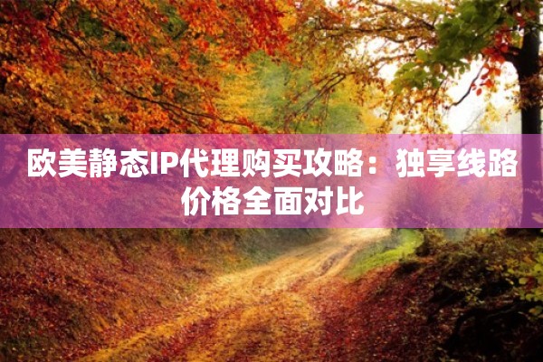 欧美静态IP代理购买攻略：独享线路价格全面对比