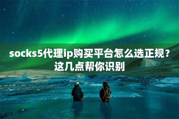 socks5代理ip购买平台怎么选正规?这几点帮你识别