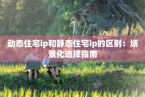 动态住宅ip和静态住宅ip的区别:场景化选择指南