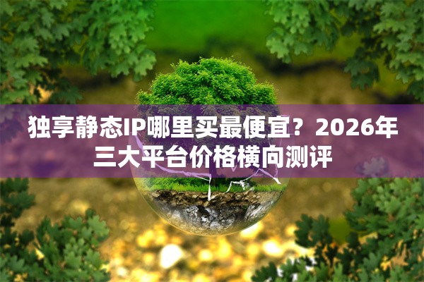 独享静态IP哪里买最便宜？2026年三大平台价格横向测评