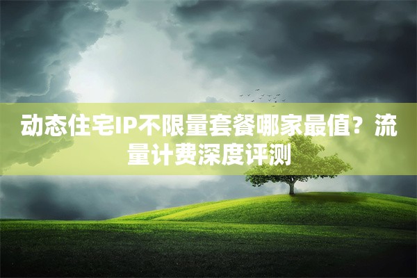 动态住宅IP不限量套餐哪家最值？流量计费深度评测