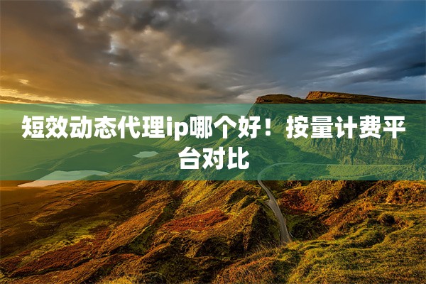 短效动态代理ip哪个好！按量计费平台对比