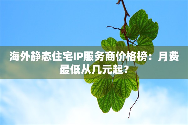 海外静态住宅IP服务商价格榜：月费最低从几元起？