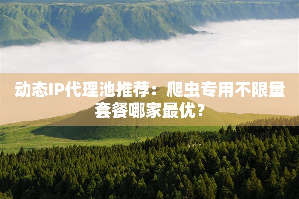 动态IP代理池推荐：爬虫专用不限量套餐哪家最优？