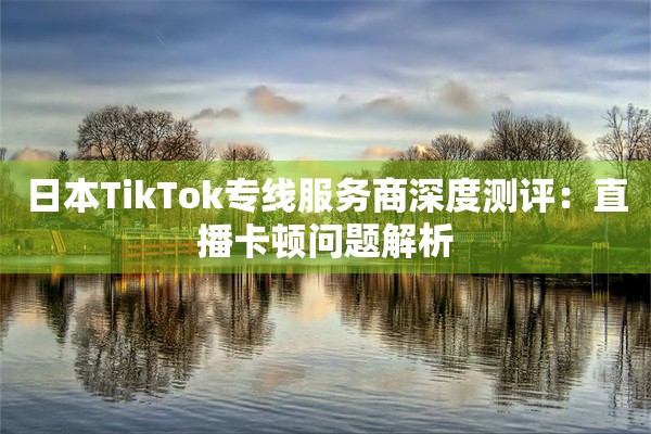日本TikTok专线服务商深度测评：直播卡顿问题解析