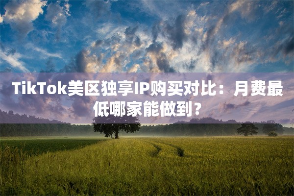 TikTok美区独享IP购买对比:月费最低哪家能做到?