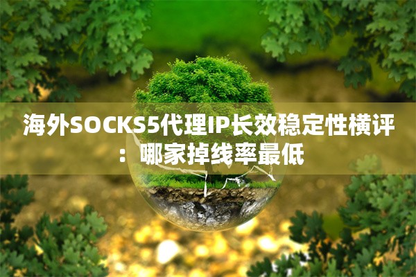 海外SOCKS5代理IP长效稳定性横评:哪家掉线率最低