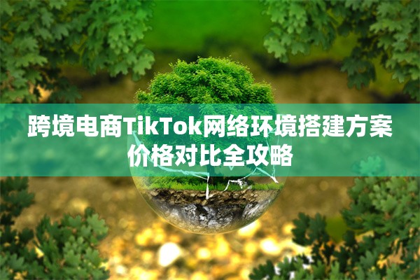 跨境电商TikTok网络环境搭建方案价格对比全攻略