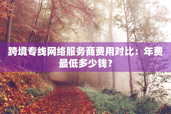 跨境专线网络服务商费用对比：年费最低多少钱？